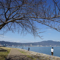 2974-2.jpg