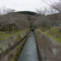 2975-1.jpg