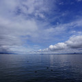 2976-1.jpg