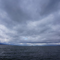 2976-3.jpg