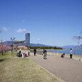 2977-3.jpg