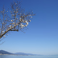 2978-1.jpg