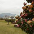 2979-2.jpg