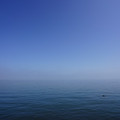 2980-1.jpg