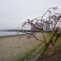2983-1.jpg