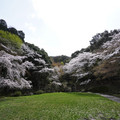 2985-1.jpg