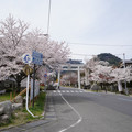 2989-3.jpg