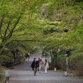 2994-1.jpg