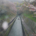 2996-1.jpg