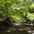 3002-1.jpg