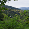 3014-1.jpg