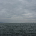 3014-3.jpg