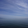 3017-1.jpg