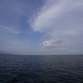 3019-1.jpg
