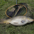 3027-2.jpg
