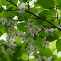 3032-2.jpg