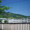 3035-1.jpg