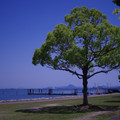 3035-3.jpg