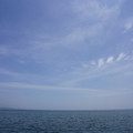 3037-1.jpg