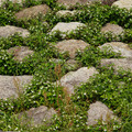 3041-2.jpg