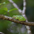 3042-2.jpg