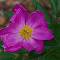 3045-2.jpg