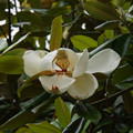 3049-2.jpg