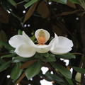 3051-2.jpg