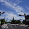 3055-3.jpg