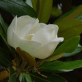 3058-2.jpg