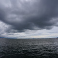 3061-1.jpg