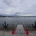 3061-2.jpg