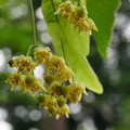 3062-2.jpg