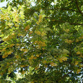3067-1.jpg