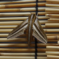 3071-1.jpg