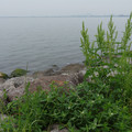 3076-1.jpg