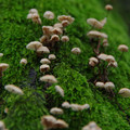 3081-2.jpg