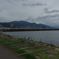3085-1.jpg