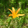 3086-3.jpg