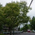 3088-3.jpg
