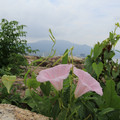 3090-2.jpg
