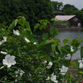 3092-2.jpg