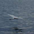 3105-3.jpg