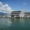 3106-3.jpg