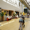 3107-3.jpg