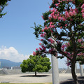3108-1.jpg