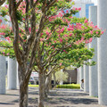 3108-2.jpg