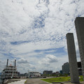 3111-1.jpg