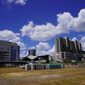 3115-1.jpg