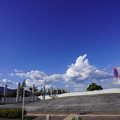 3115-3.jpg